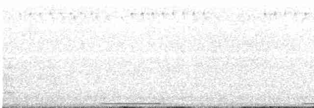 holub pestrokřídlý - ML419937231