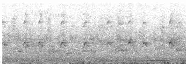 volavka dobytčí - ML419986021