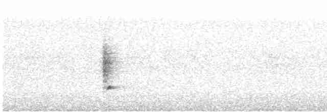 Віялохвістка північна (підвид isura) - ML420003581