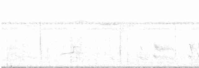 Grünschwanz-Glanzvogel - ML420101621
