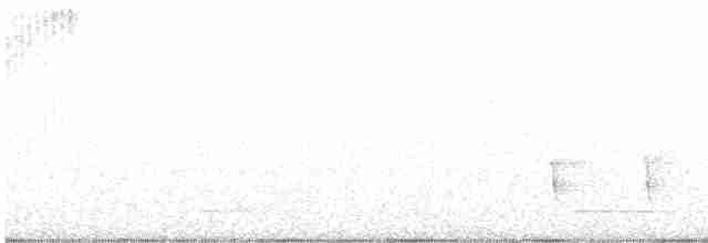 Gray Tinamou - ML420107171