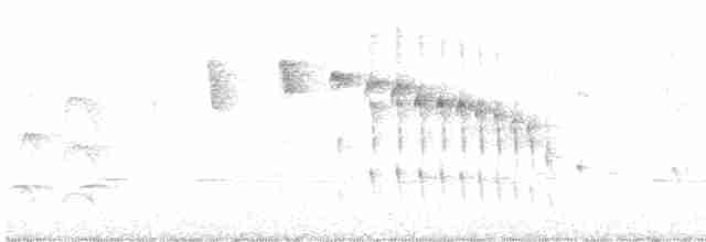 stripehodestifthale - ML420108451