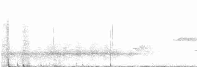 Gray-breasted Wood-Wren (bangsi) - ML420109321