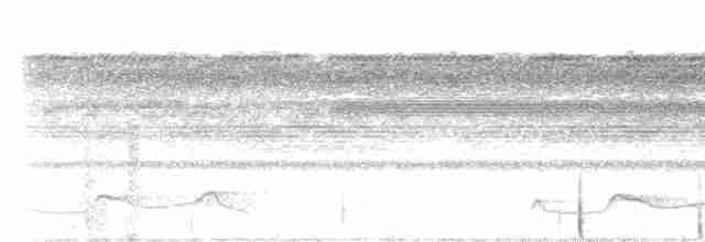 Дрімлюга юкатанський - ML420135911