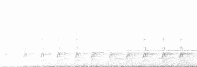 Kuzey Amerika Kara Ağaçkakanı - ML420135941