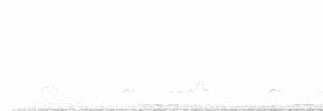 Schwarzkehl-Nachtschwalbe - ML420144301