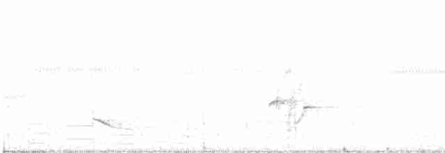 Epaulet Oriole - ML420170911