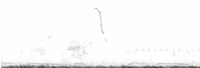 灰斑鳩 - ML420210391