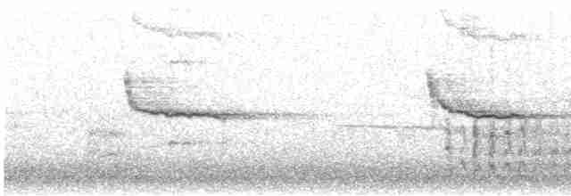 Horned Grebe - ML420267621