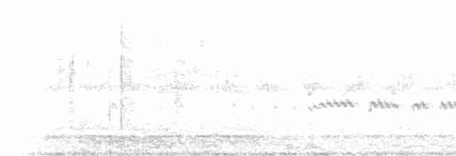 Wüstenregenpfeifer - ML420281411