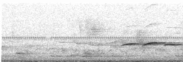 Пятнистогрудая тимелия-говорушка - ML420287211
