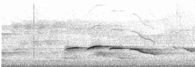 Streifenbrust-Erddrossling - ML420287241