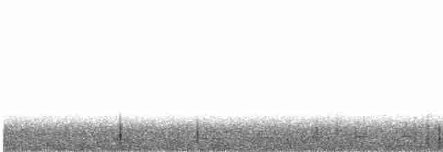 Spotted Nightjar - ML420360621