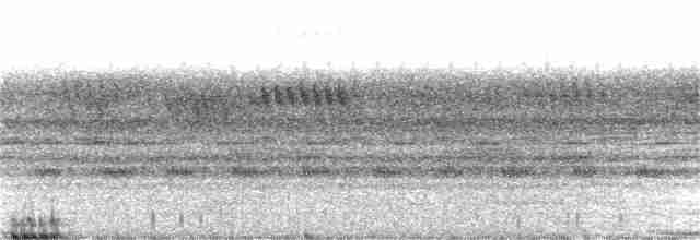 Сова-рибоїд чорнодзьоба - ML42038321