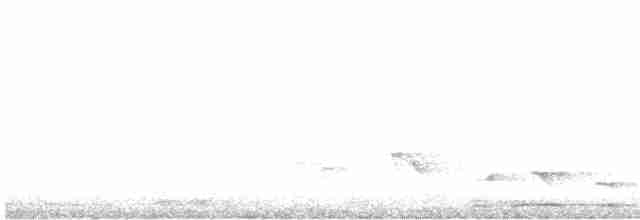 Gray Whistler (Brown) - ML420385001