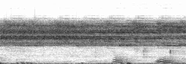 Сова-рибоїд чорнодзьоба - ML42039151
