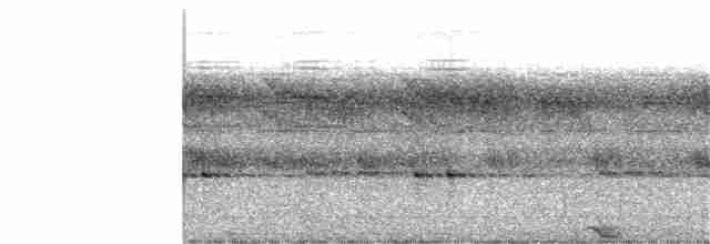 Сова-рибоїд чорнодзьоба - ML42039351