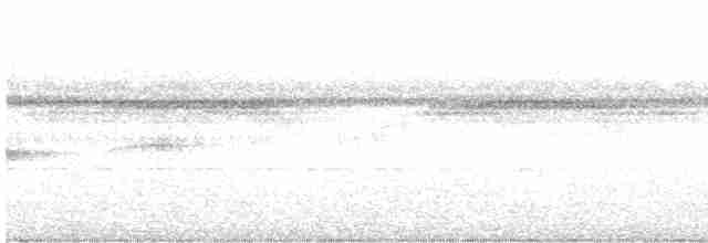 Halsband-Ameisenvogel - ML420421731
