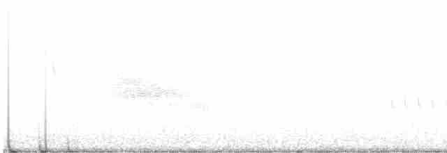 European Greenfinch - ML420438991