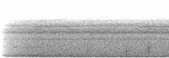 Анаперо смугастохвостий (підвид latifascia) - ML420501431