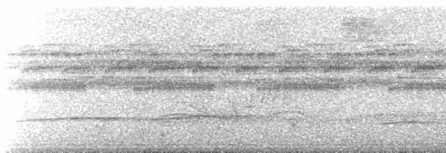 Bindenschwanz-Nachtschwalbe [leucopyga-Gruppe] - ML420502531