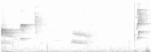 Охристобрюхий тираннчик - ML420578161