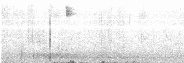 Светлокрылая трясохвостка - ML420657981