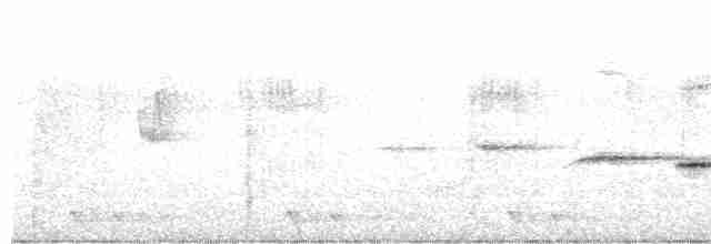 Gray-bellied Tesia - ML420773461