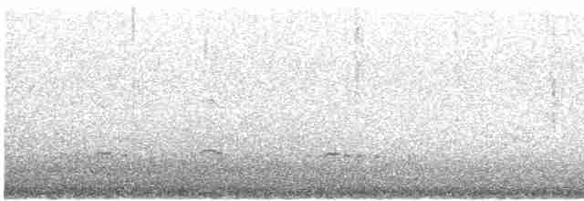 Смеречник тайговий (підвид montana) - ML420826211