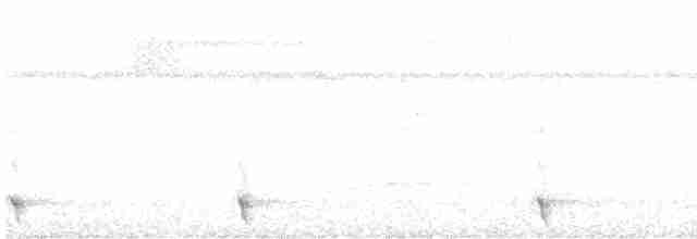 White-tailed Trogon - ML420851771