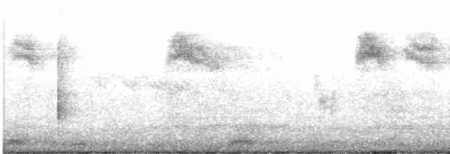 Spotted Flycatcher - ML421064771