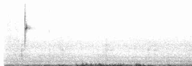 Bruant à couronne blanche (gambelii) - ML421124431