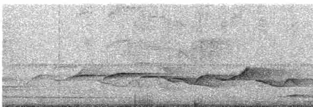 Kabarık Gerdanlı Ardıçesmeri - ML421352891