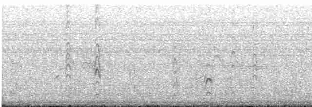 White-tailed Lapwing - ML421353481