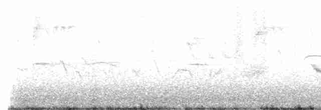 Дрізд-короткодзьоб плямистоволий - ML421592791