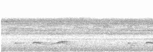 Belizenachtschwalbe - ML421630651