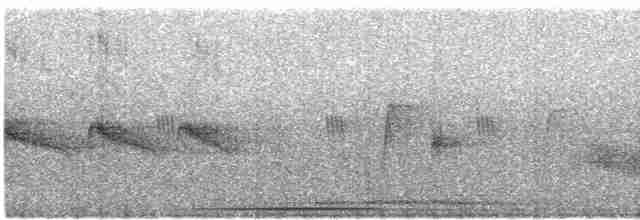 holub bledoprsý - ML421699531
