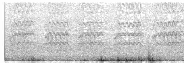 Eurasian Kestrel (Eurasian) - ML421842141
