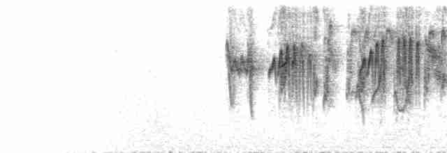 Paradoxornis à menton noir (ripponi/patriciae) - ML421933391