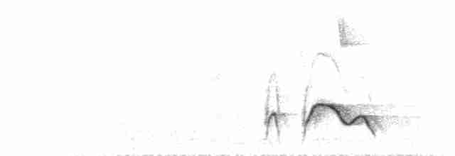 Işıklı Gevezeardıç - ML421946131