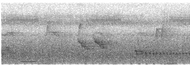 Flussufer-Ameisenvogel - ML421965241