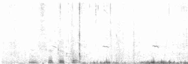 Benekli Notura Tinamusu - ML421999831