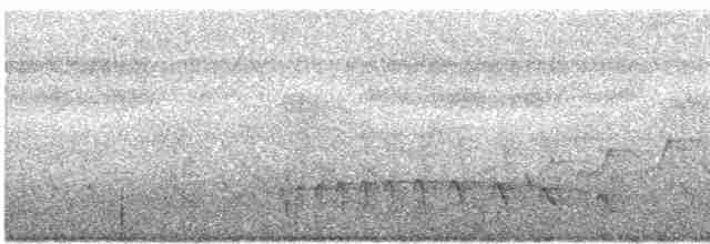 Gelbbrust-Ameisenfänger - ML422005261