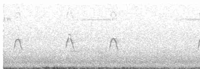 Australasian Grebe - ML422157461