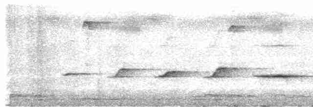 Gray Whistler (Brown) - ML422157531