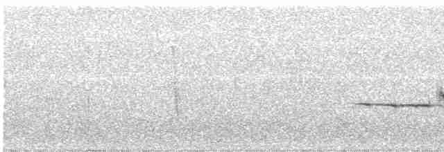Bruant à couronne blanche (oriantha) - ML422165611