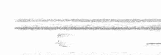 Graubrust-Ameisendrossel - ML422453711