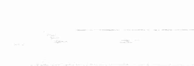 Тиран-інка буроголовий - ML422455141