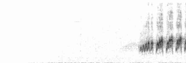 Crested Finchbill - ML422468881