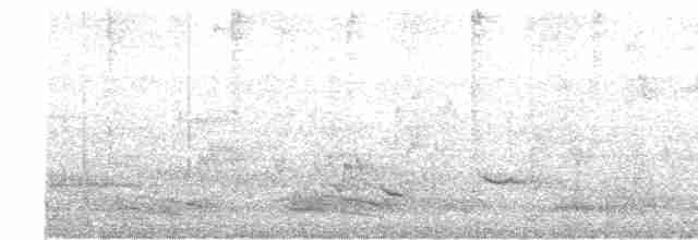 strakapoud hnědohlavý - ML422561711